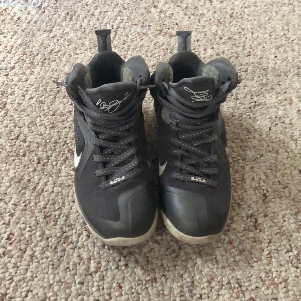 Lebron 9 Wolf Grey